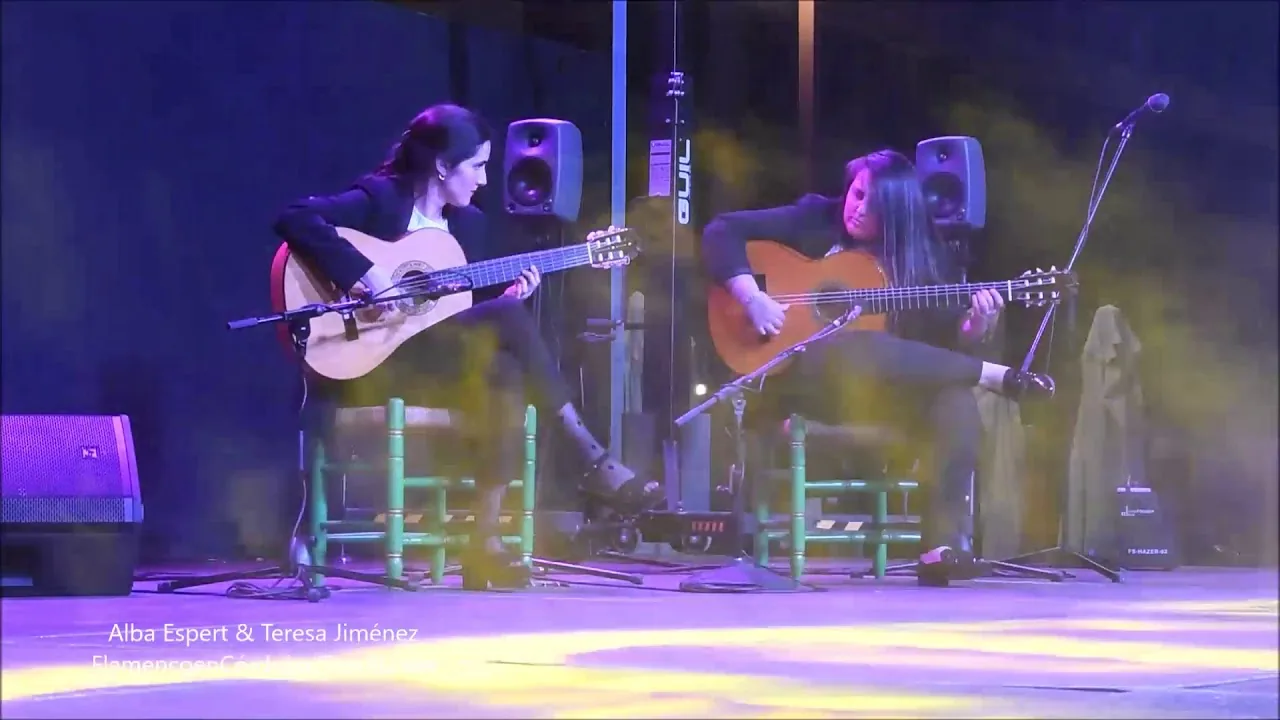Cartel o imagen de Musical flamenco "Dos mujeres, dos guitarras, un arte... El Flamenco"
