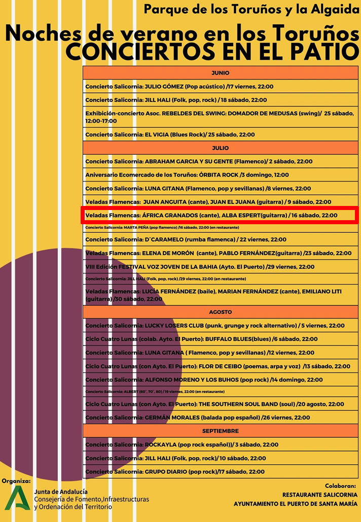Cartel o imagen de Noches de Verano en Los Toruños - Conciertos en el Patio