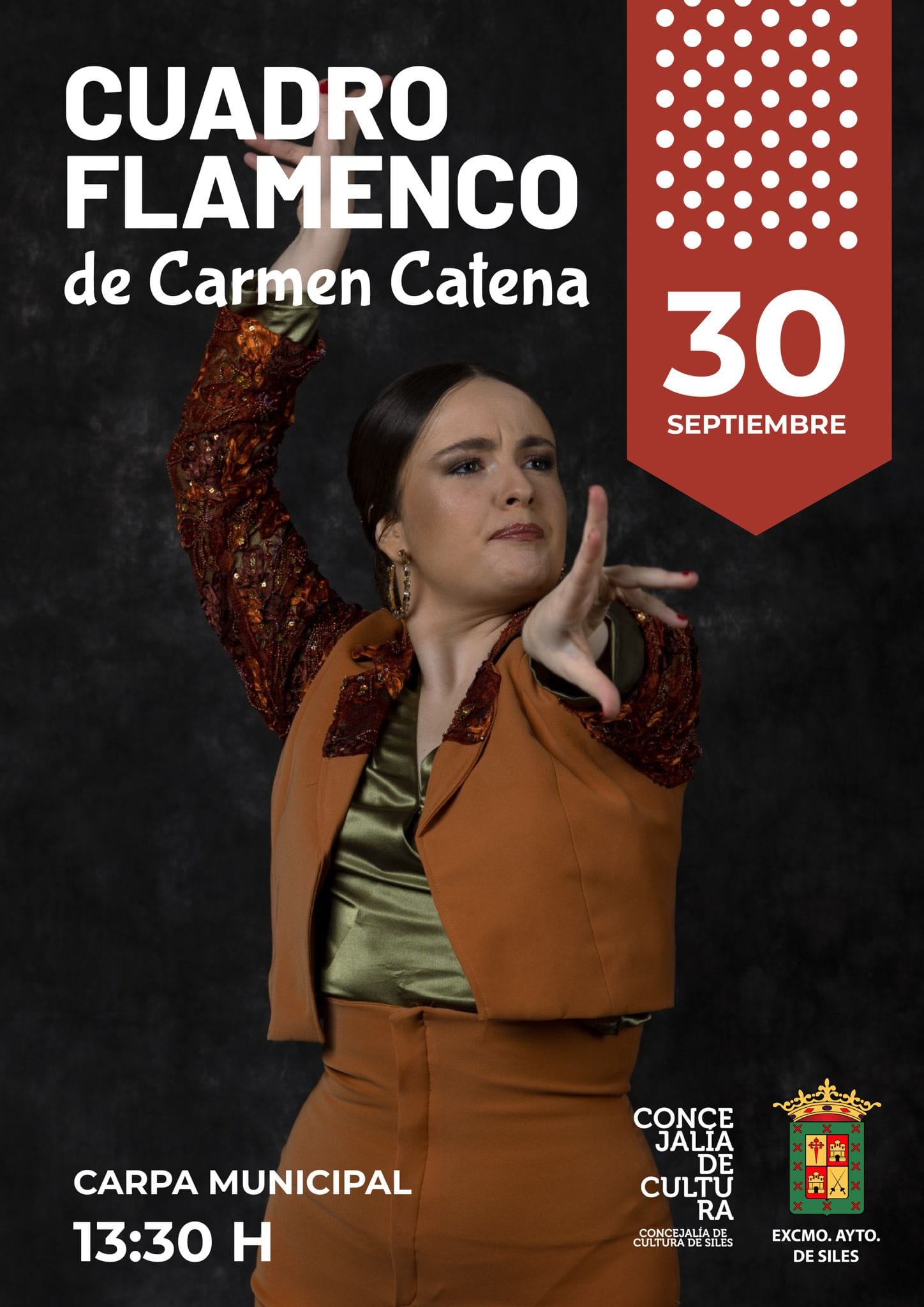Cartel o imagen de Recital Flamenco · Acompañando el baile de Carmen Catena