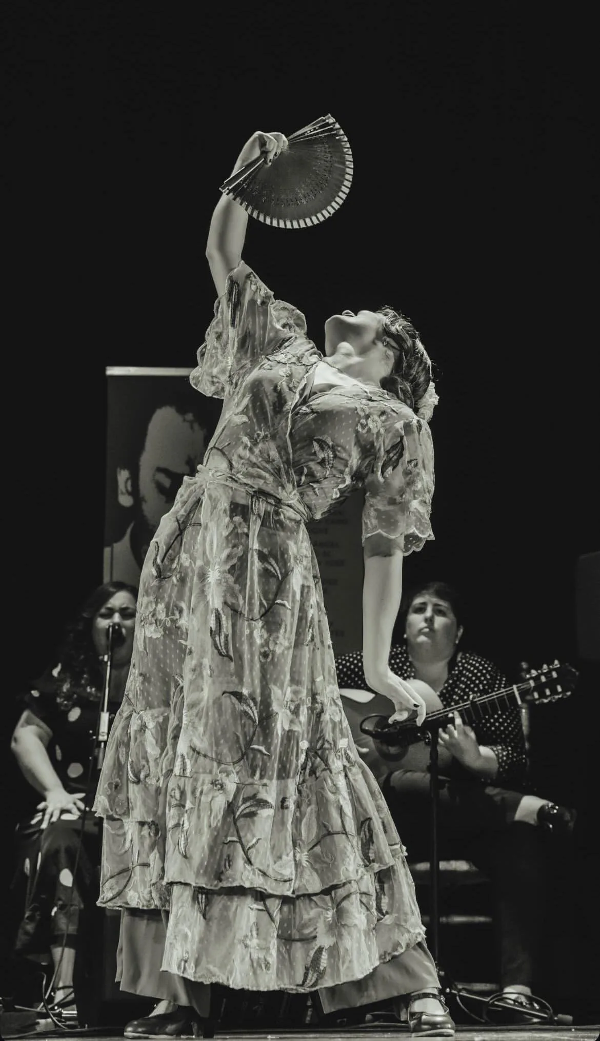 Cartel o imagen de Recital Flamenco · Acompañando el baile de Carmen Catena · Torres