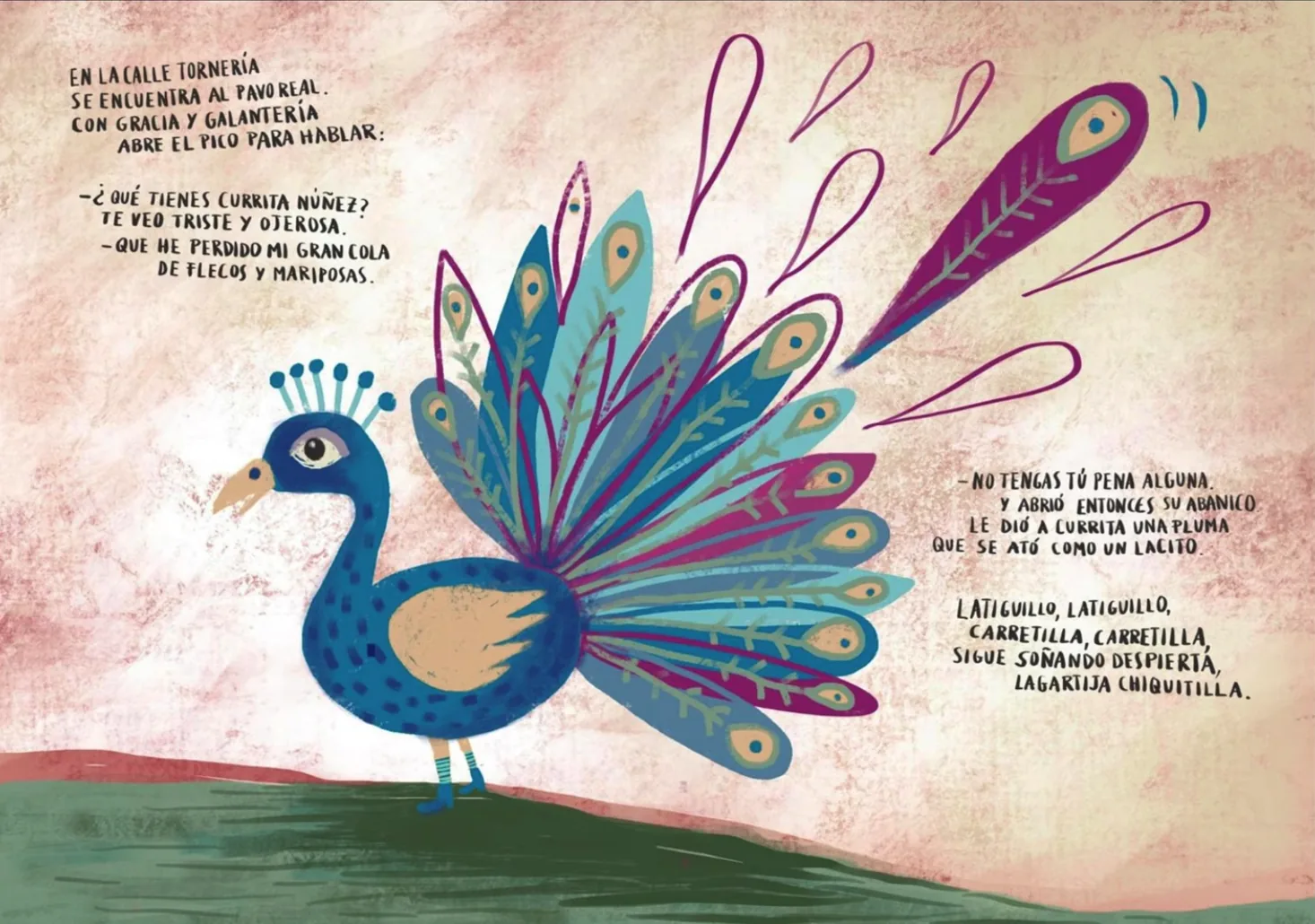 Ilustración de Farruca del pavo real
